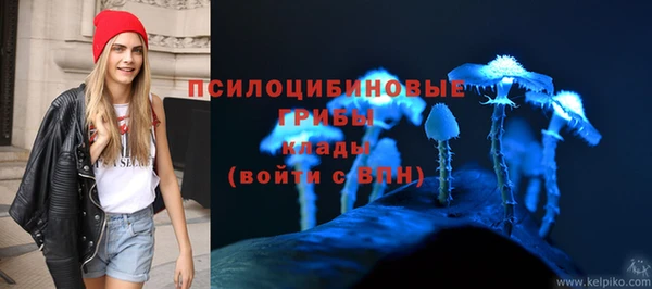 кокаин премиум Белокуриха