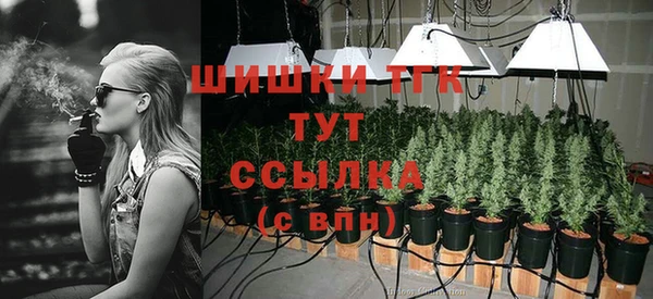 дмт Богданович