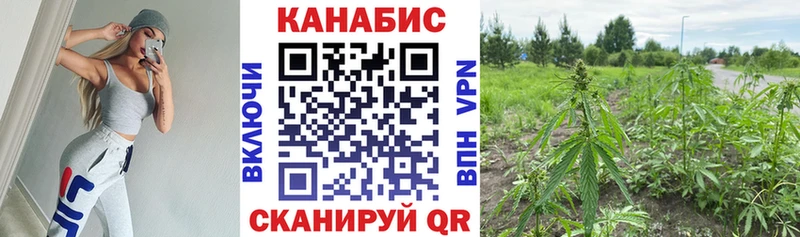 omg зеркало  Волгореченск  дарк нет состав  Бошки Шишки гибрид 
